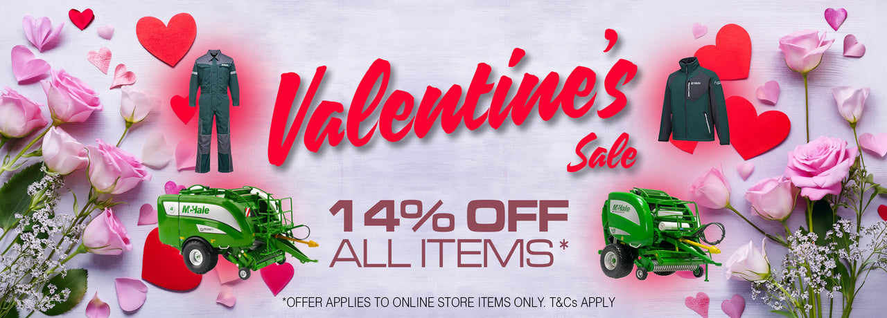 valentines sale - 2026